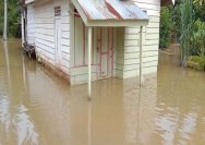 Puluhan Rumah di Kuantan Singingi Terendam, BPBD Evakuasi Warga
