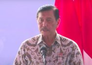 Soal Larangan Ekspor Bijih Nikel, Presiden Utus Luhut Lobi IMF