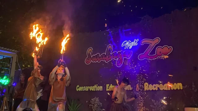 Grand Opening Surabaya Night Zoo