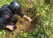Penemuan Ranjau Darat Aktif di Bogor, Sempat Dikira Peluru Meriam Kuno
