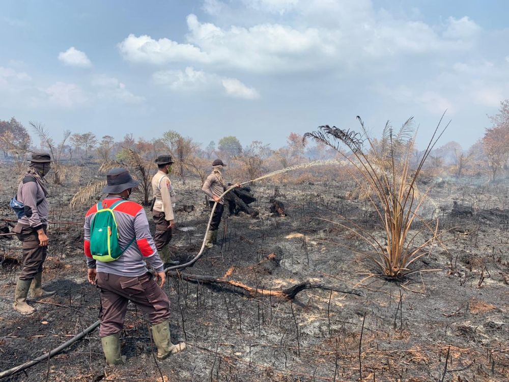 petugas gabungan berjibaku padamkan