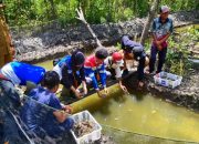 Komitmen Net Zero Emission: Pertamina Implementasikan Silvofishery di Kawasan Mangrove Pesisir Pangkal Babu