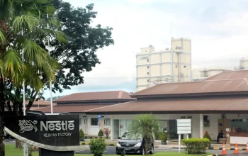 Sudah 50 Tahun Kolaborasi PT Nestlé Indonesia dan Peternak Sapi Perah Rakyat