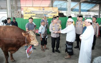 Dukung Acara Guru Sekumpul, Kapolri Berikan Empat Ekor Sapi Limousin