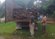 hutan lindung tnbt terancam pelaku