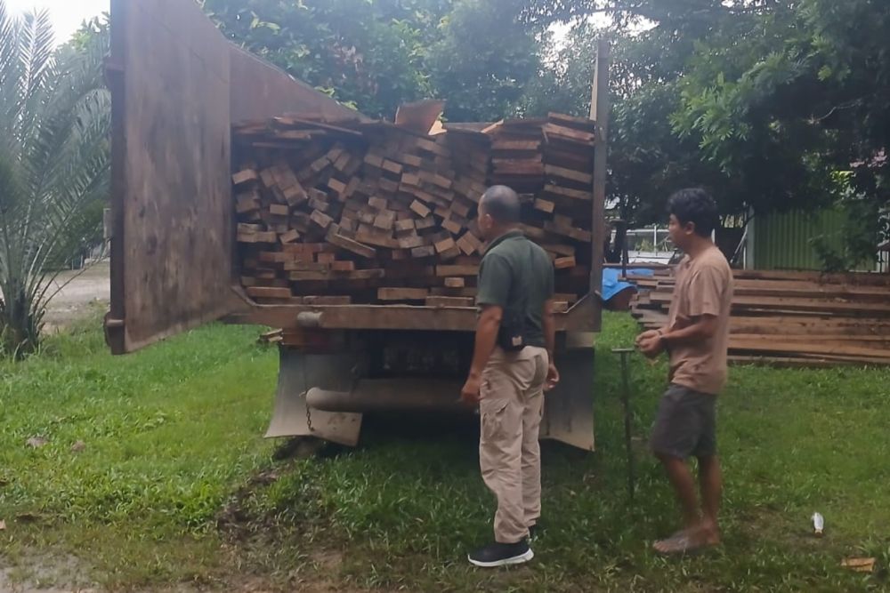 hutan lindung tnbt terancam pelaku