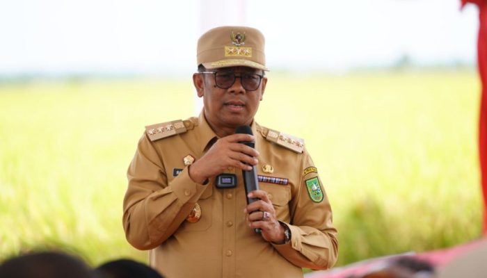 Sumbang 12 Persen Produksi Padi di Riau, Pj Gubri Rahman Hadi Apresiasi Petani Kabupaten Siak