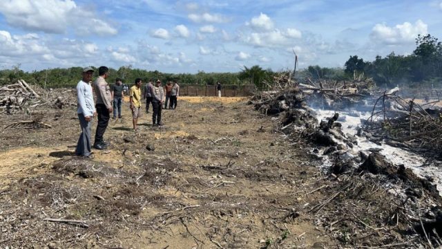 Seorang Warga Ditangkap Polisi Usai Bakar Lahan Untuk Jadi Kebun Sawit