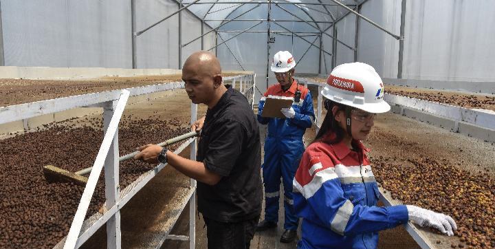 Inovasi Ramah Lingkungan: Kopi Geothermal Kamojang Menembus Pasar Global