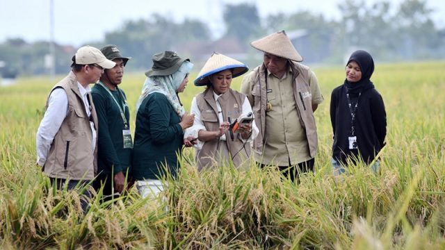 Kemkomdigi Dorong Pertanian Digital untuk Perkuat Ketahanan Pangan Nasional