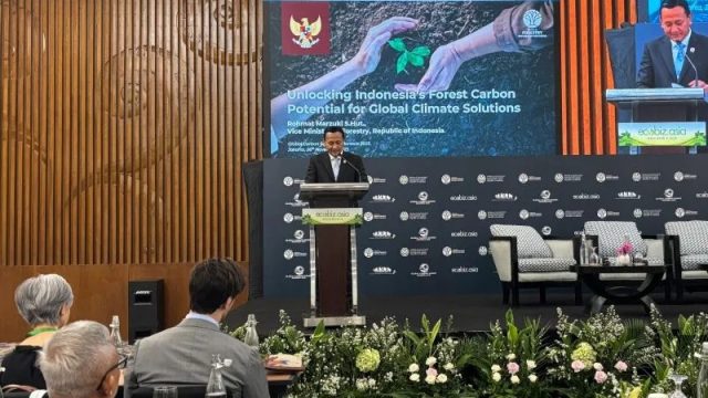 Wamenhut: RI Terus Kembangkan Potensi Karbon Di Sektor Kehutanan