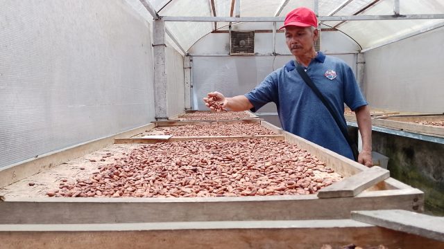 Industri Kakao Strategis bagi Perekonomian Nasional
