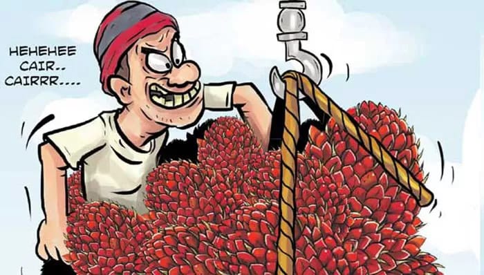 Seorang Warga di Air Panas Sungai Bengkal Dilaporkan ke Polisi Gara-gara Dituduh Mencuri Sawit