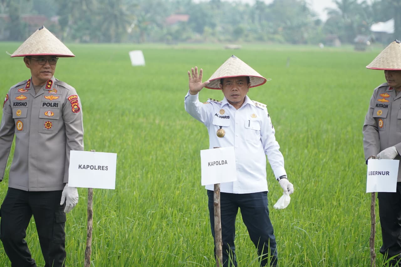 Presiden Prabowo Umumkan Indonesia Swasembada Pangan: Gubernur Al Haris Hadiri Tasyakuran Secara Virtual