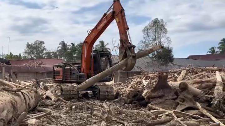 Kemenhut: Kayu Terseret Banjir Bakal Dimanfaatkan untuk Warga Aceh dan Sumut