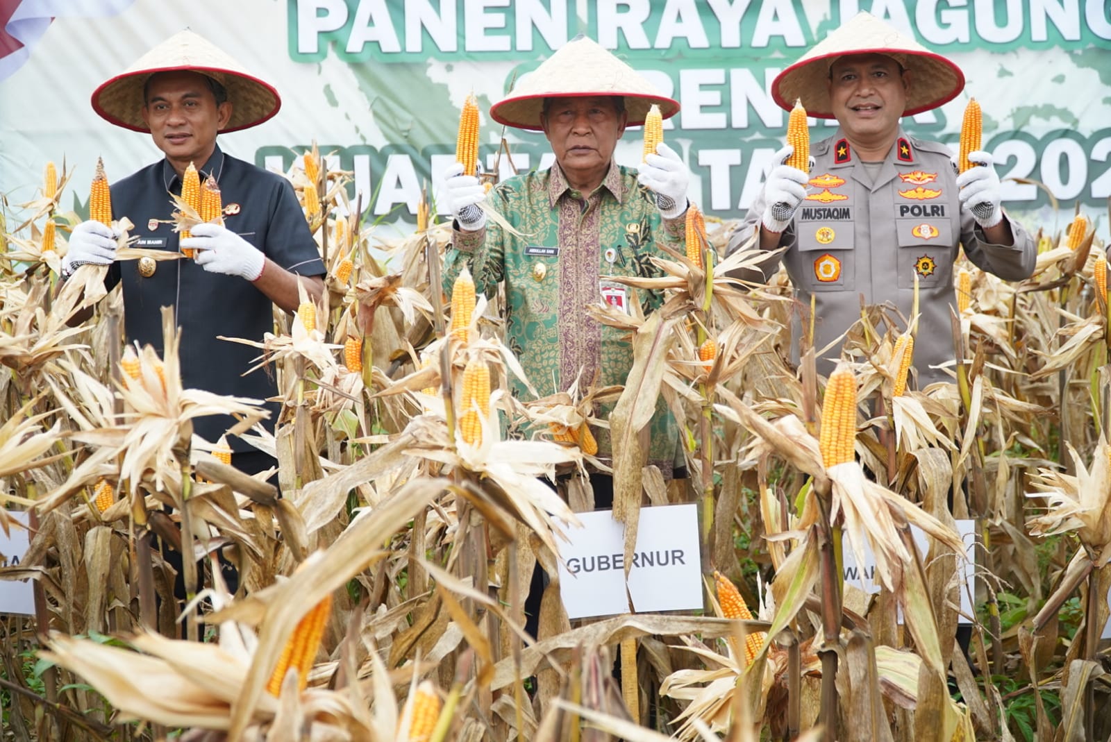 Hadiri Panen Jagung, Wagub Sani Dukung Program Perkuat Kedaulatan Pangan Daerah dan Nasional