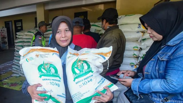 Jangan Terkecoh Tampilan Kinclong! Ini Panduan Bulog Memilih Beras Medium dan Premium Berkualitas
