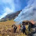 Tragedi Karhutla Gunung Bromo: Petugas Berjibaku Tembus Medan Ekstrem Demi Padamkan Api