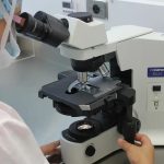 Virus Dirancang AI Pertama di Dunia Berhasil Diciptakan, Buka Harapan Pengobatan Baru Sekaligus Picu Kekhawatiran