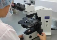 Virus Dirancang AI Pertama di Dunia Berhasil Diciptakan, Buka Harapan Pengobatan Baru Sekaligus Picu Kekhawatiran