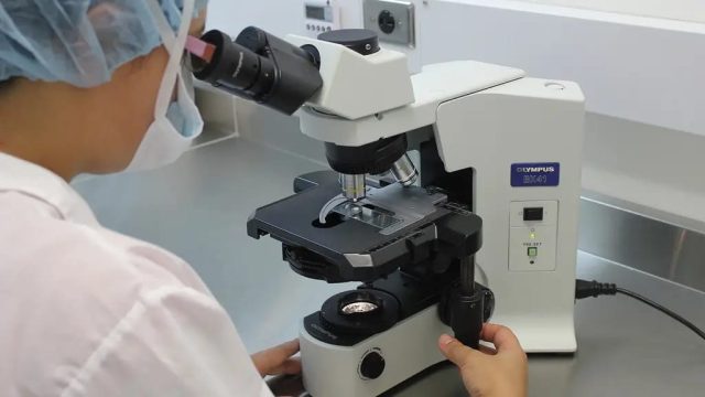 Virus Dirancang AI Pertama di Dunia Berhasil Diciptakan, Buka Harapan Pengobatan Baru Sekaligus Picu Kekhawatiran