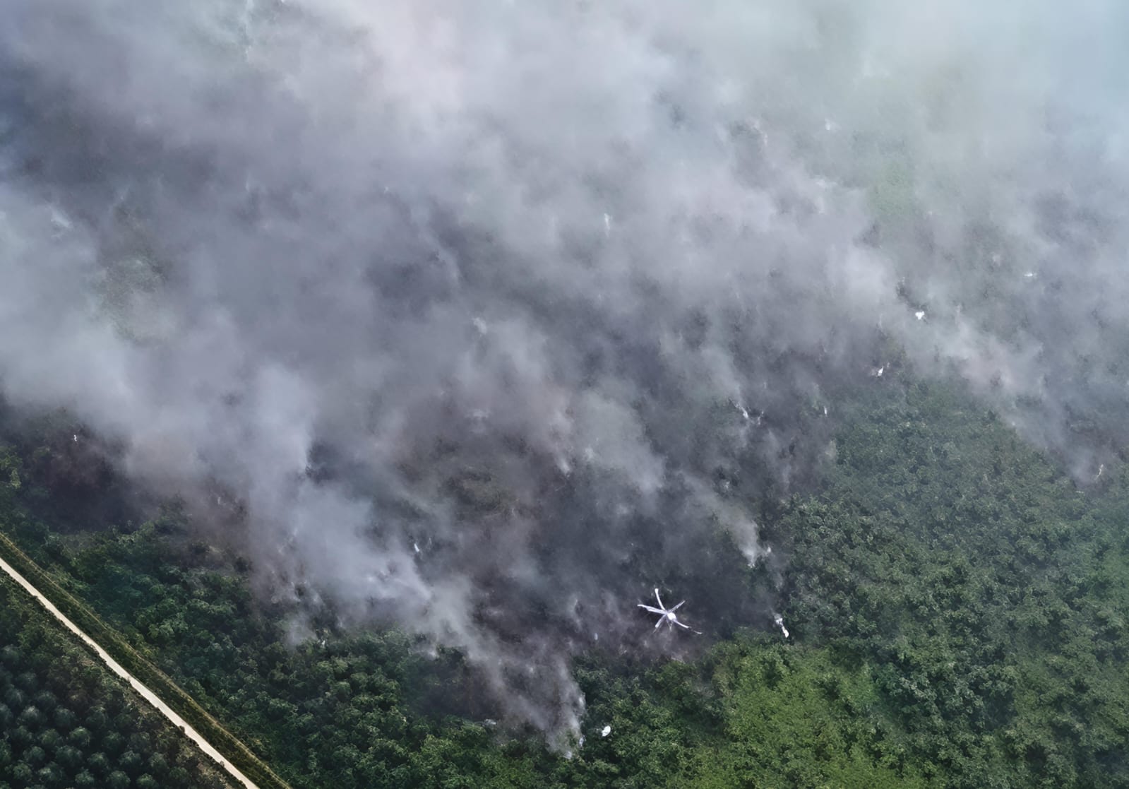 Dampak Karhutla di Desa Sungai Guntung Hilir Rengat, Kabut Asap Mulai Terlihat Selimuti Pemukiman