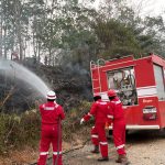 Pertamina EP Jambi Bergerak Cepat, Lima Titik Kebakaran Lahan Dipadamkan