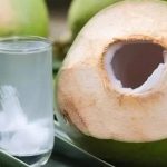 Hari Kelapa Sedunia 2 September: Mengenal Peran Penting Kelapa bagi Indonesia