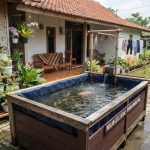 Cara Membuat Kolam Lele dari Kandang Bekas, Solusi Praktis di Halaman Rumah
