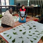 SENJA KARSA PHR Zona 1 Dorong Lansia Desa Kota Karang Hasilkan Batik Ecoprint Bernilai Jual