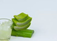 Cara Menggunakan Lidah Buaya untuk Wajah, Ini Langkah yang Tepat agar Kulit Tetap Nyaman