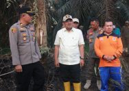 Gerak Cepat, Bupati Anwar Sadat Tinjau Karhutla di Bram Itam