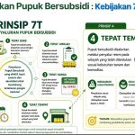 Pemerintah Perkuat Tata Kelola Pupuk Bersubsidi, Fokus pada Produktivitas Pertanian