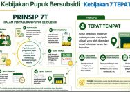 Pemerintah Perkuat Tata Kelola Pupuk Bersubsidi, Fokus pada Produktivitas Pertanian