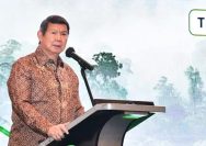 Petani Mulai Pilih Tanam Padi Ketimbang Sawit, Faktor Keuntungan Jadi Pertimbangan