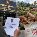 Dugaan Sawit Dirusak di Lahan HGU, Ketua Koperasi OGMI Laporkan Persoalan ke Polda Jambi