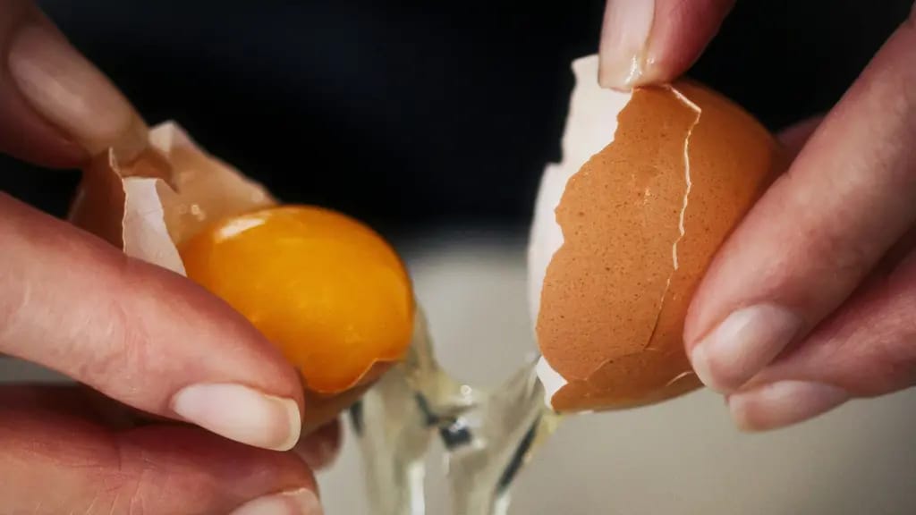 IDAI Ingatkan Bahaya Telur Mentah untuk Balita, Bisa Picu Infeksi Salmonella