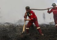 Kalimantan Tengah Catat 1.135 Titik Panas Karhutla, Tertinggi di Wilayah Prioritas