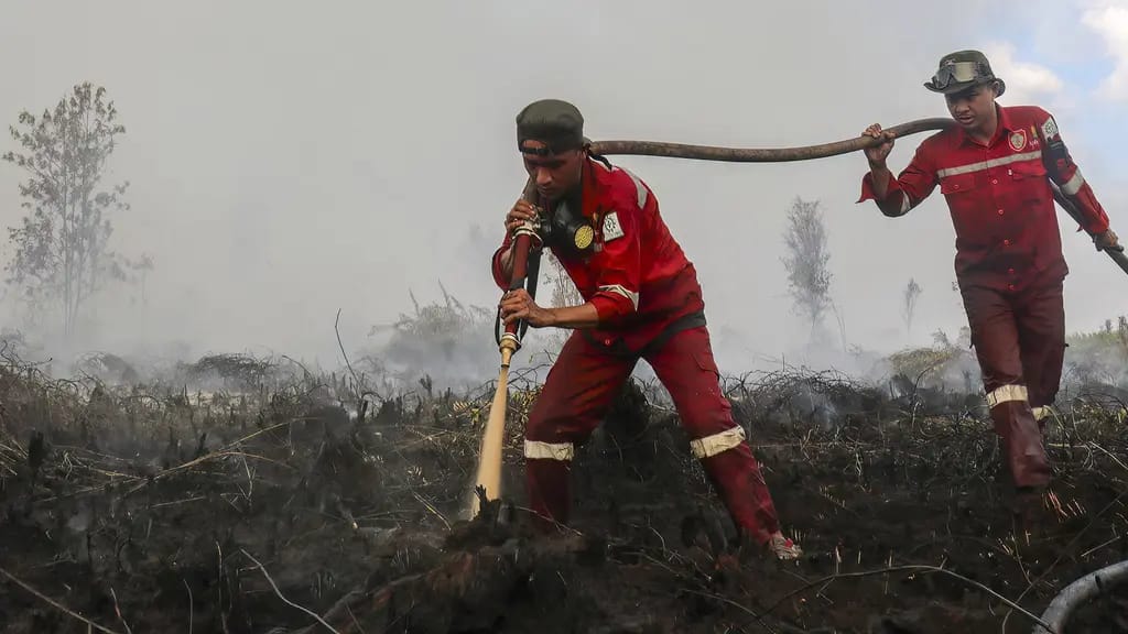 Kalimantan Tengah Catat 1.135 Titik Panas Karhutla, Tertinggi di Wilayah Prioritas