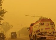 Kemenkes Ingatkan Bahaya Asap Karhutla, Waspadai Gangguan Pernapasan hingga Iritasi Kulit