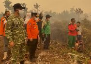 Al Haris dan Danrem Turun Langsung ke Lokasi Karhutla di Kumpeh, Angin Kencang dan Sulitnya Air Jadi Kendala